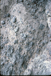 Photo of sample